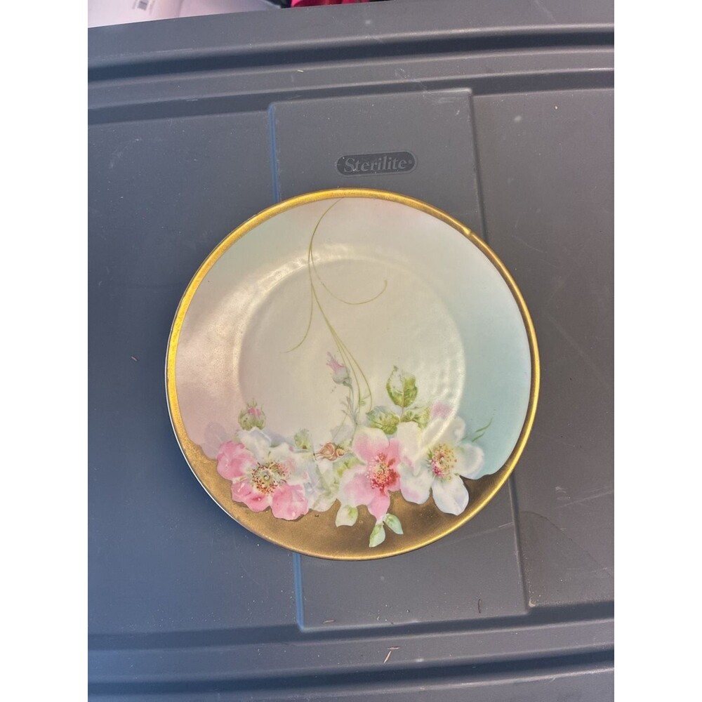 Two Vintage PM Bavarian porcelain hand painted floral plates gold trim